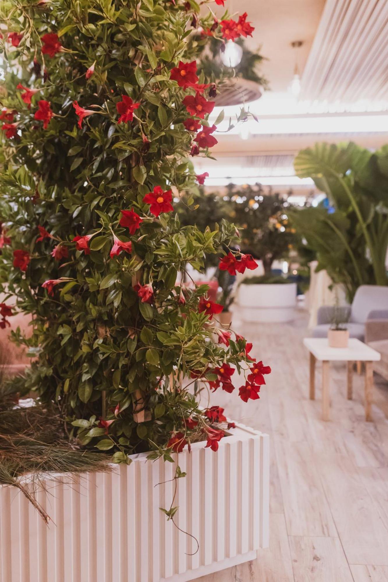 Sentido Michelizia Tropea Resort 외부 사진